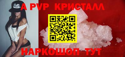 скорость Кингисепп