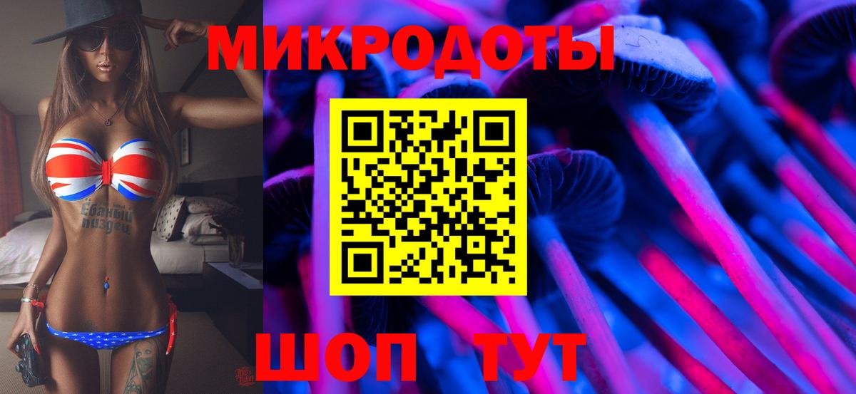 Псилоцибиновые грибы Psilocybe Кемерово