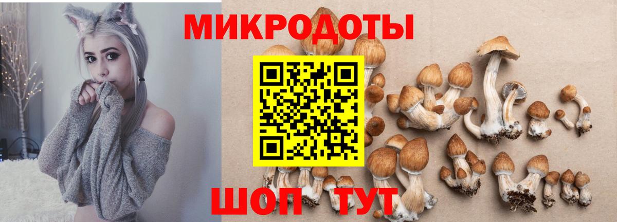 Псилоцибиновые грибы Cubensis  Вход с VPN  закладка  Кемерово 