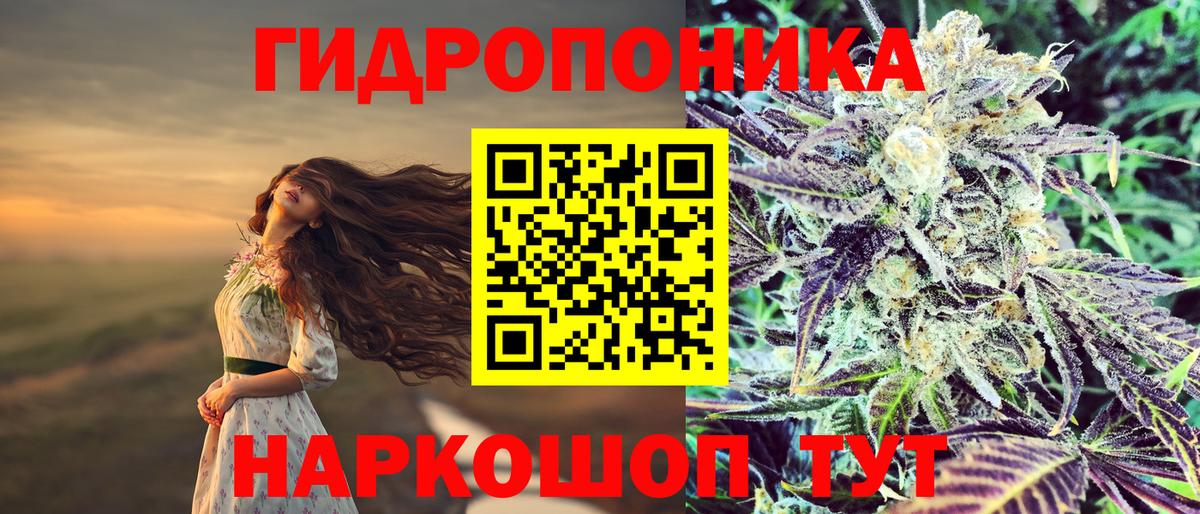 Бошки Шишки Amnesia  Бошки марихуана THC 21%  Кемерово  Марихуана сатива  Вход с VPN 